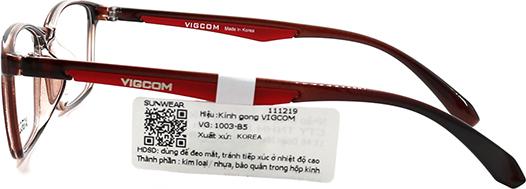 GỌNG KÍNH UNISEX VIGCOM VG1003