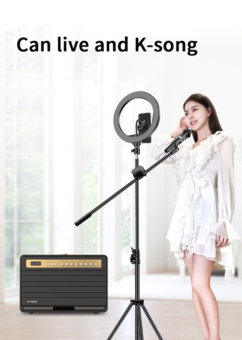 Loa Karaoke Bluetooth công suất lớn 120W 2 mic không dây Wking - Hàng chính hãng