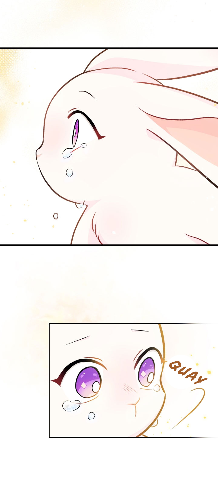 mối liên kết giữa báo đen và bé thỏ chapter 14 16