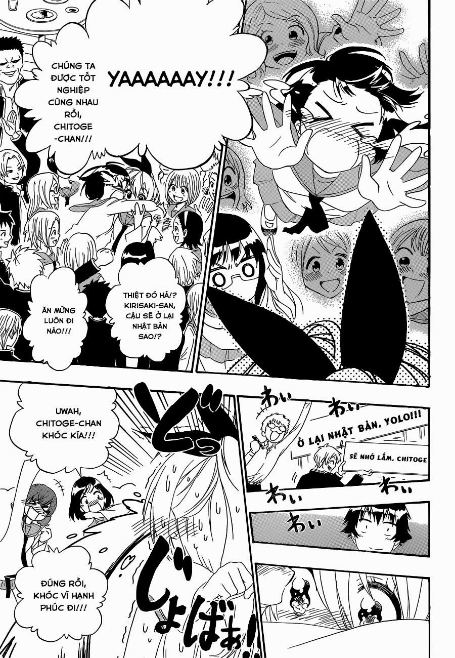 nisekoi - tình yêu giả tạo chapter 162 13