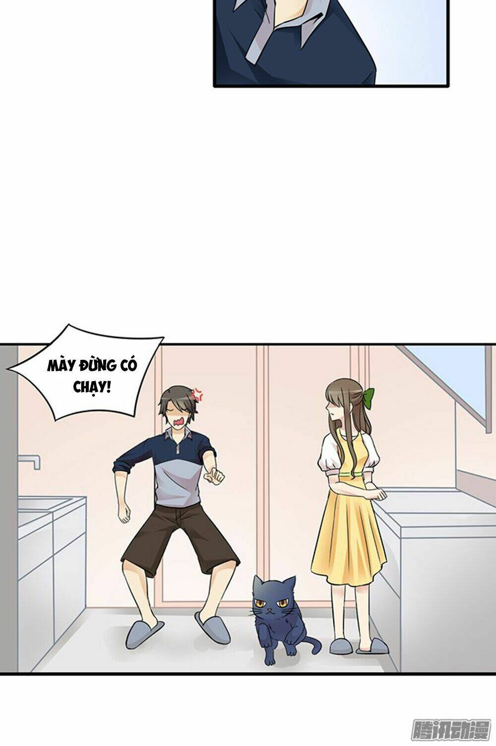 hai chú mèo totem chapter 12 7