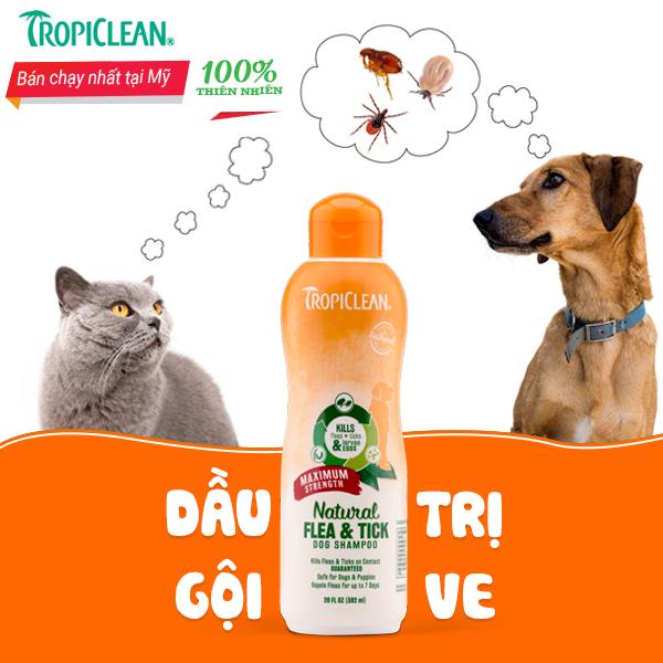 SỮA TẮM ĐẶC TRỊ VE, BỌ CHÉT TRÊN CHÓ