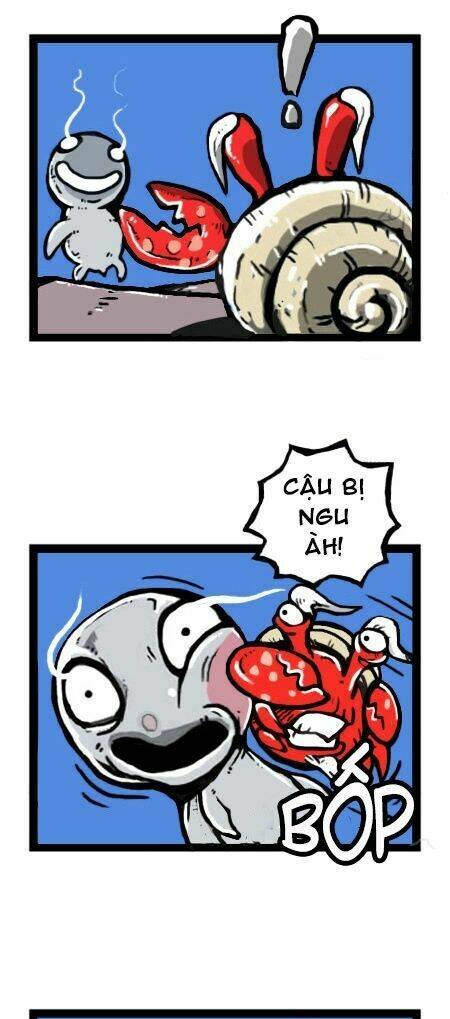 earth, human, and animal chapter 17 10