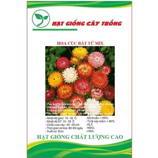 Hạt giống hoa cúc bất tử nhiều màu CT427 - Gói 50 hạt