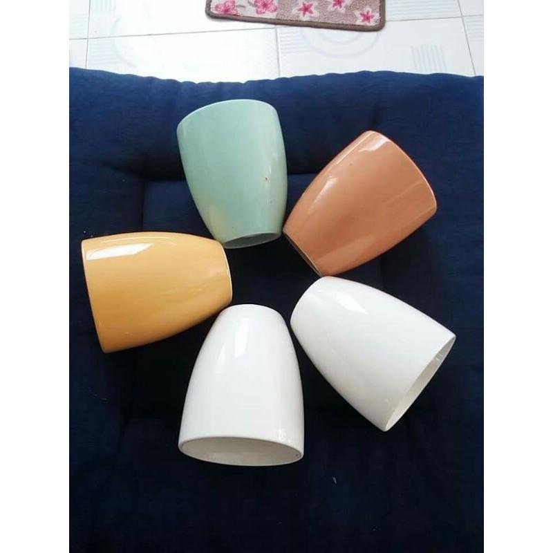 5 chậu trồng sen đá xương rồng cao 10 miệng 8cm