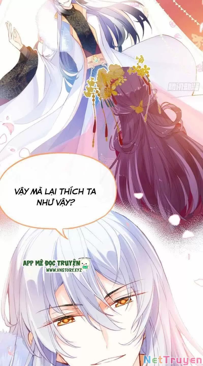 lại bị bệnh chiều chuộng quấn lấy chapter 2 18