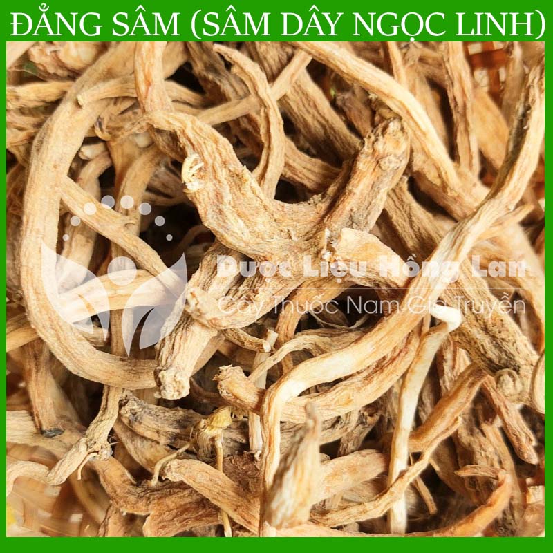 Sâm Dây Ngọc Linh (Đẳng Sâm) khô đóng gói 1kg