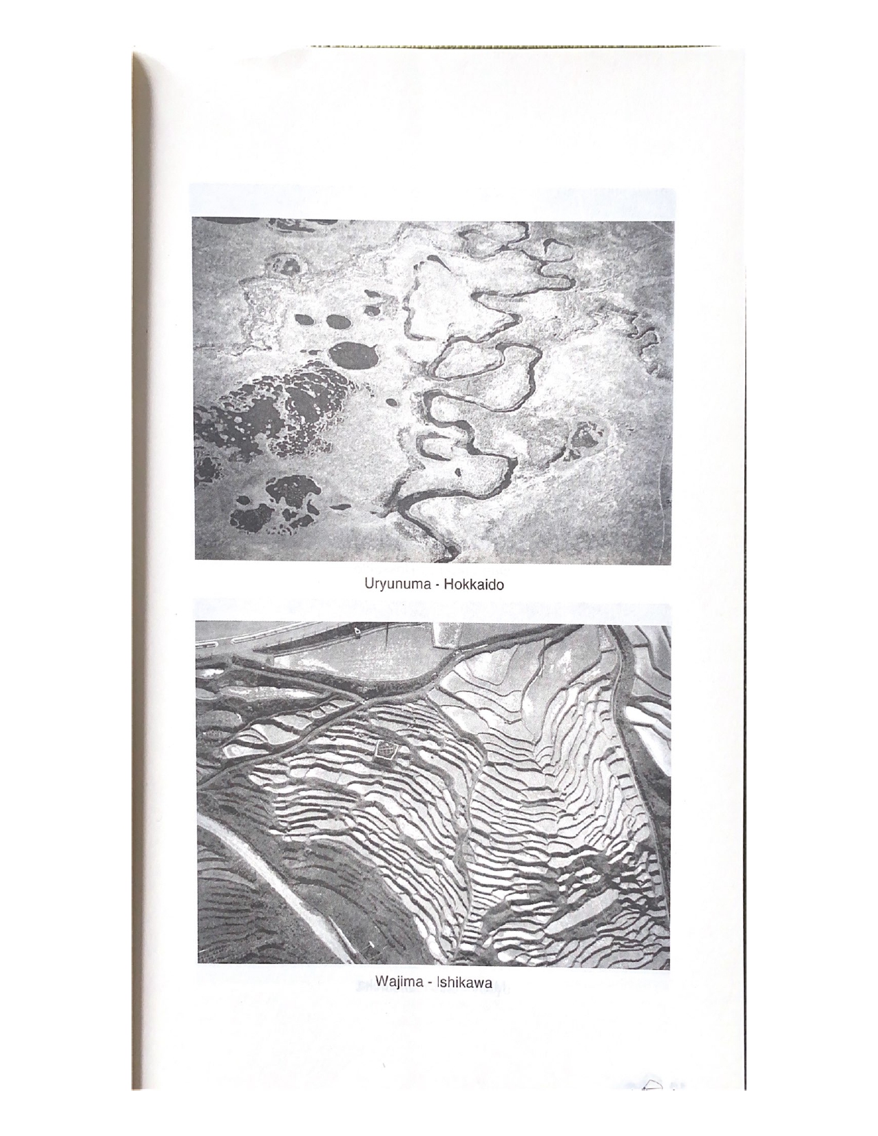 Sách Nhật Bản - Đất Nước Và Con Người