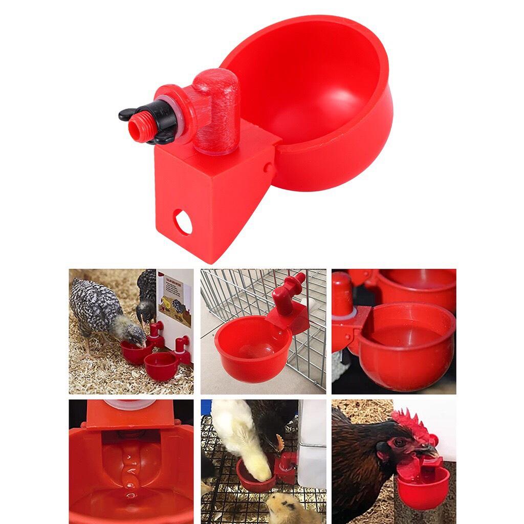 Máng uống tự động cho gà ngan vịt loại đẹp dày dễ sử dụng