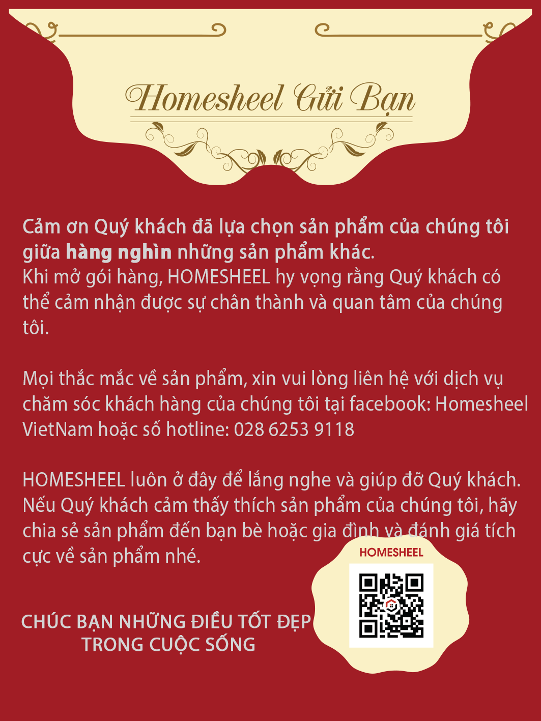 GIỎ XE ĐẠP ĐIỆN THÉP CACBON HOMESHEEL