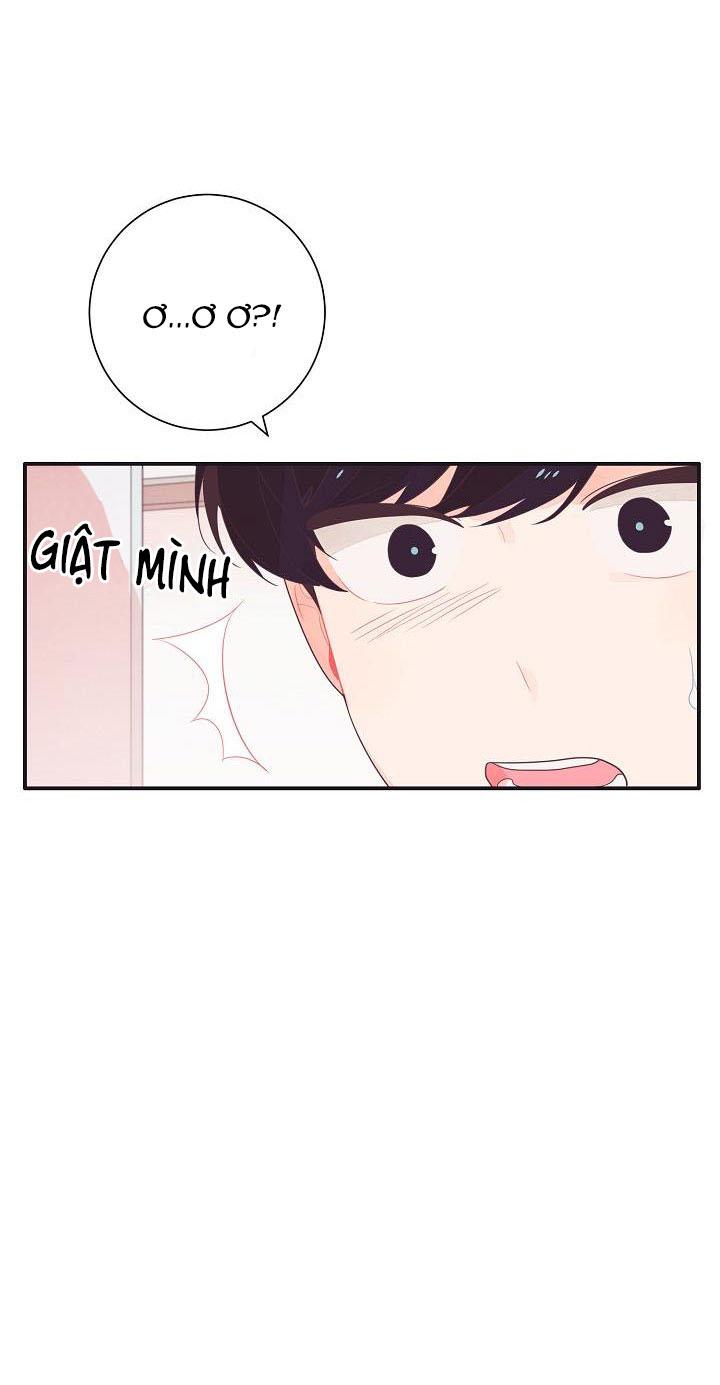 Tuổi 17 của cậu chapter 11