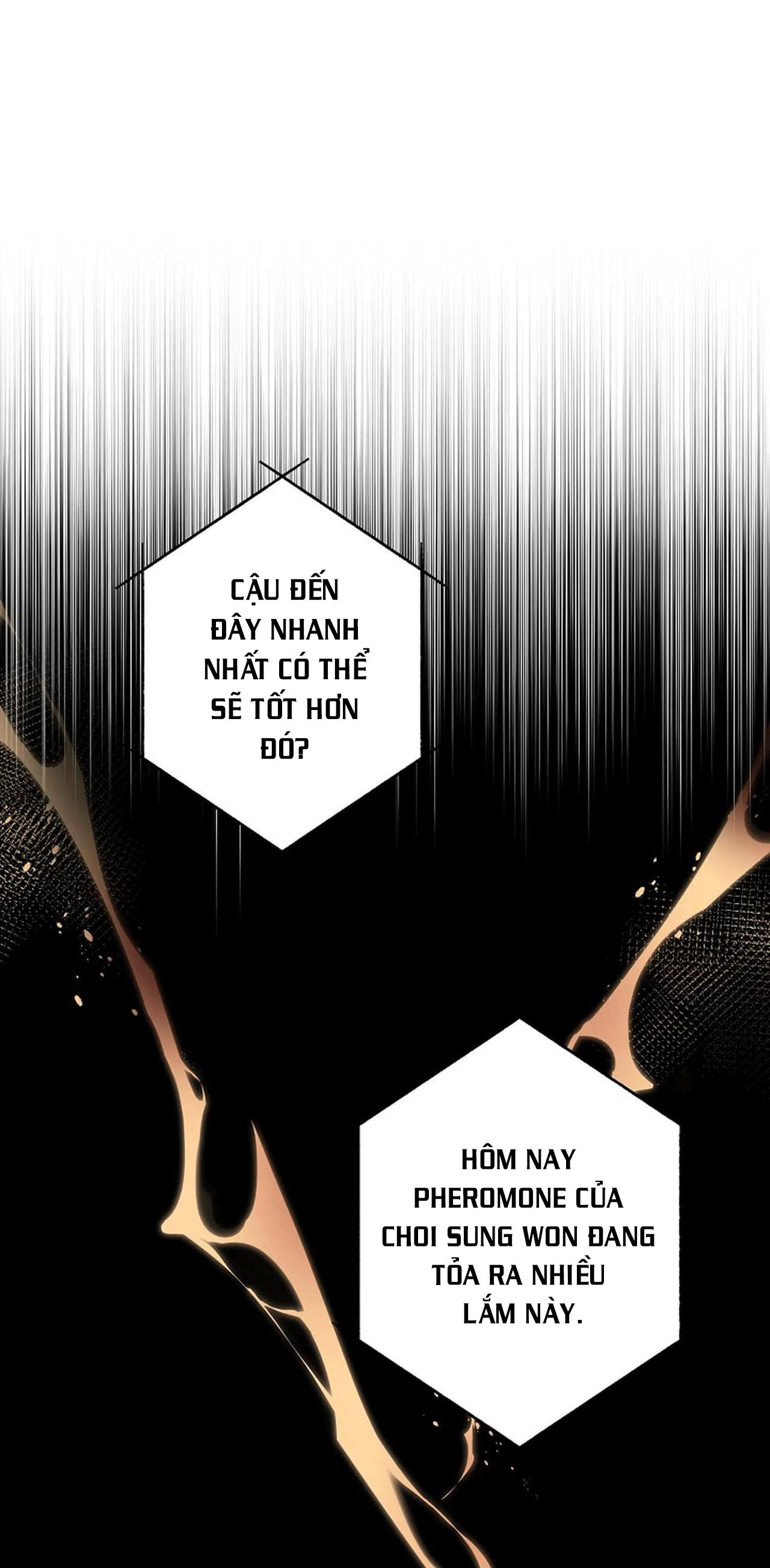 đêm dịu dàng chapter 36 8