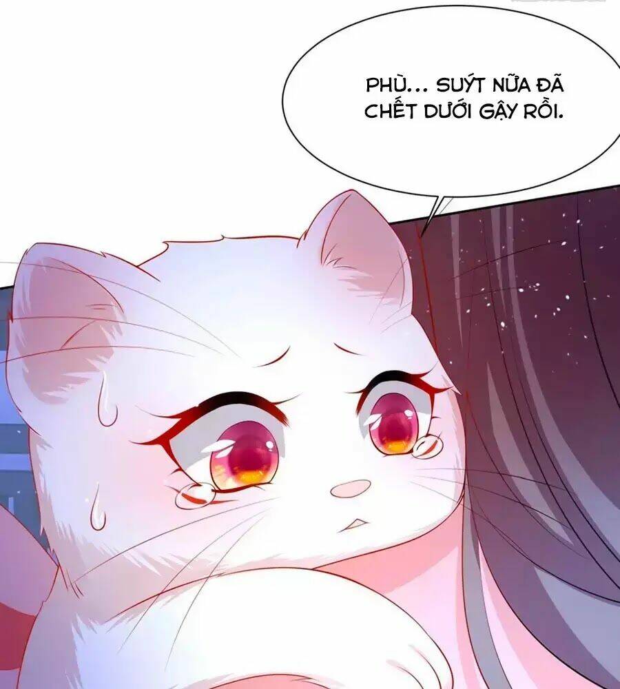 dưỡng thú vi phi chapter 8 34