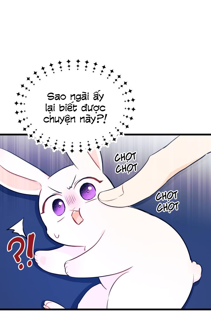 mối liên kết giữa báo đen và bé thỏ chapter 10 22