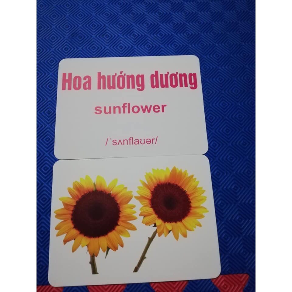 Flashcard Thẻ học thông minh song ngữ Anh-Việt cho bé yêu. 100 thẻ 15x21cm giấy ivory cao cấp 350gsm.