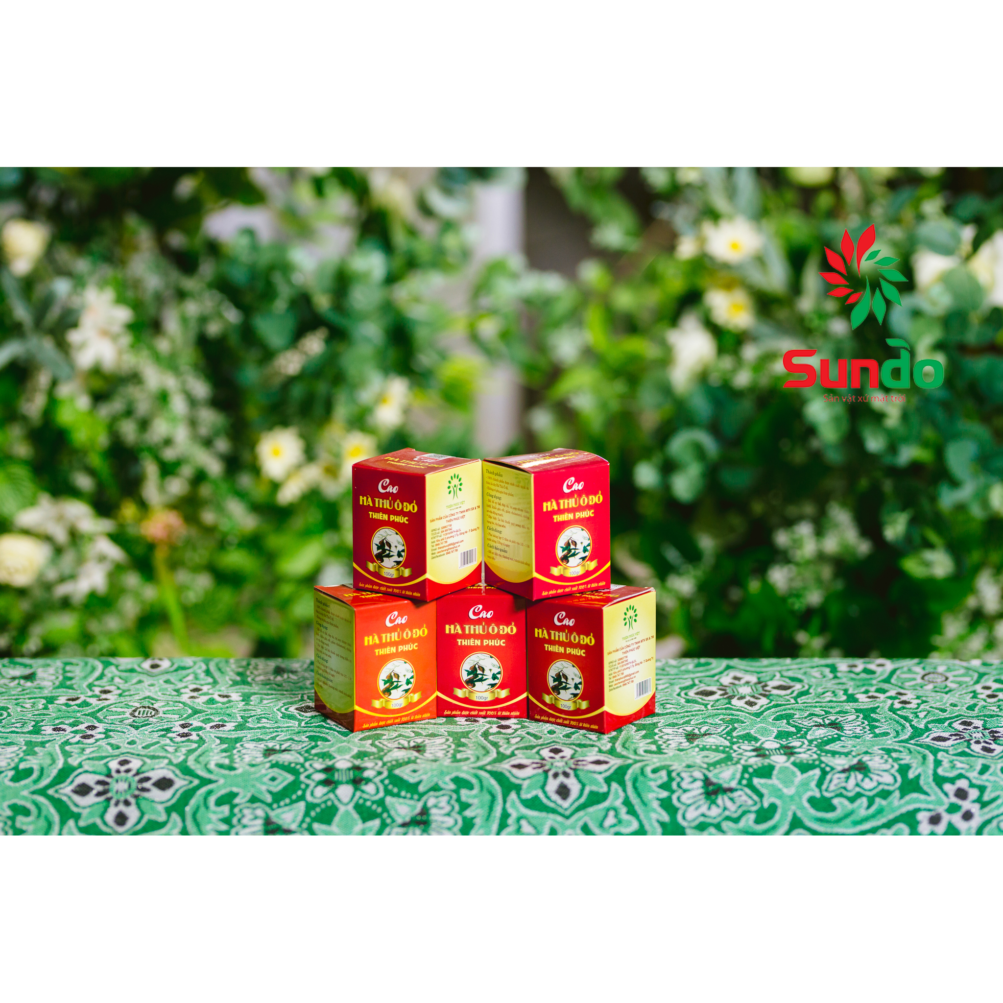 Cao hà thủ ô đỏ Thiên Phúc