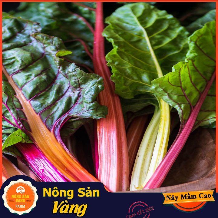 Hạt giống Cải Cầu Vồng