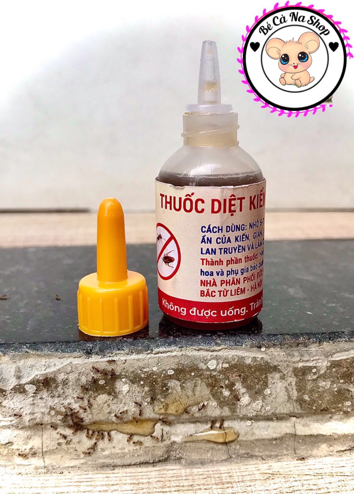 Diệt kiến tận gốc rất cần cho hamster , thỏ bọ sóc chinchilla...