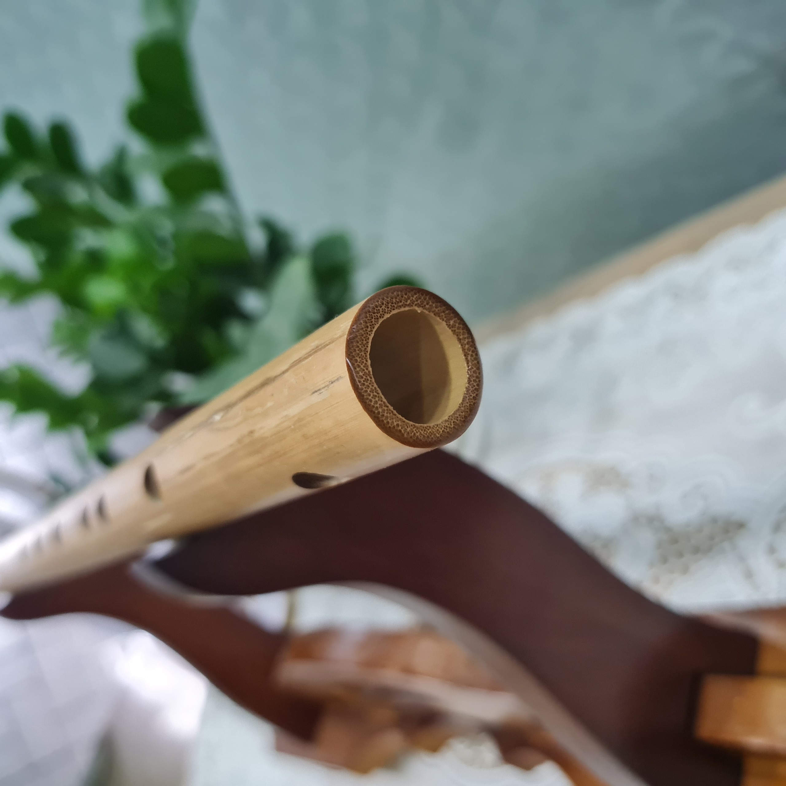 Sáo Trúc VS5 Tone Son Trầm Nứa Bắc - Sáo Trúc Bùi Gia