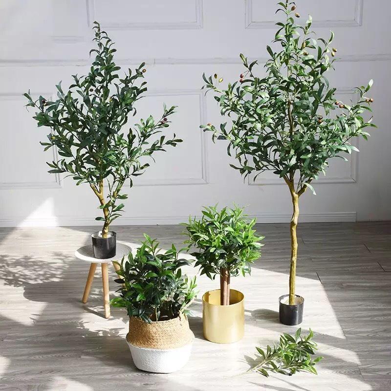 Giỏ Cói Trồng Cây Cảnh Trong Nhà Cỡ Lớn Có Quai Xách Độc Đáo - Giỏ Đựng Đồ Đa Năng Thân Thiện GC-002