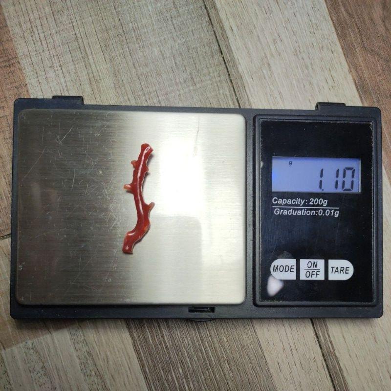 110- L Nhánh San Hô Đỏ (THIÊN NHIÊN)