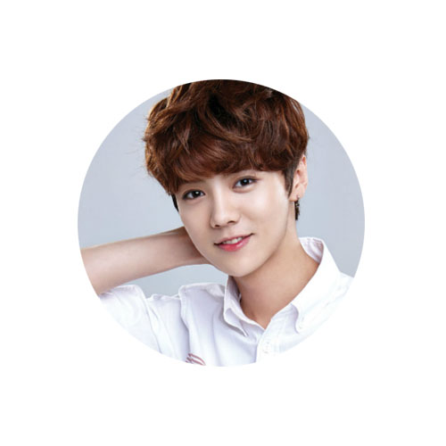 Huy hiệu Luhan Lộc Hàm EXO