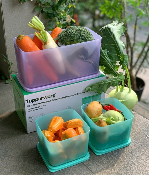 Bộ 3 Hộp Đựng Thực Phẩm Tupperware Trữ Khô Và Mát Cubix Starter