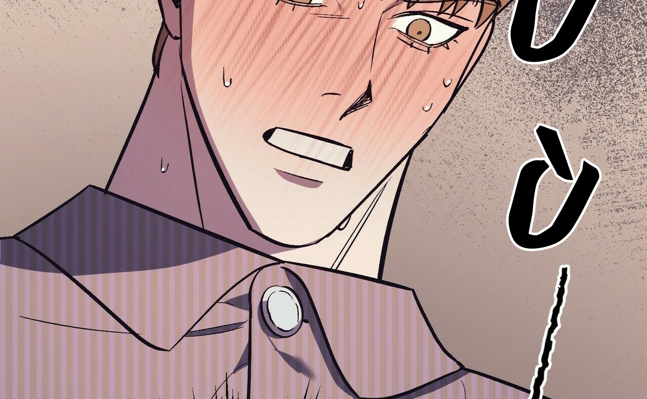 chàng dâu nhà họ kang chapter 17 173