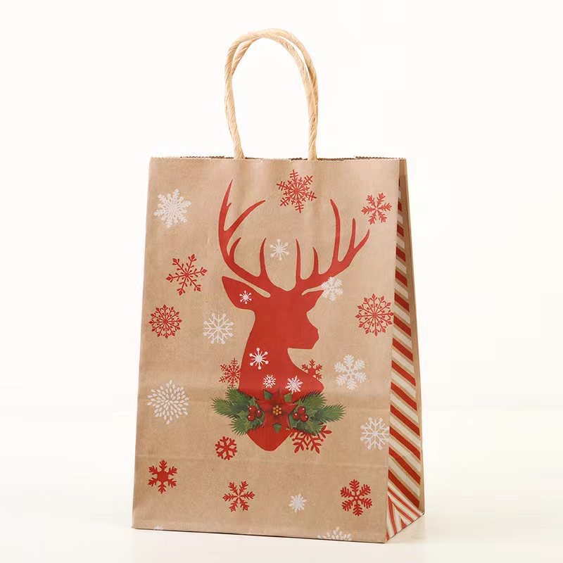 TD48_Túi đựng quà các dịp tết, noel,