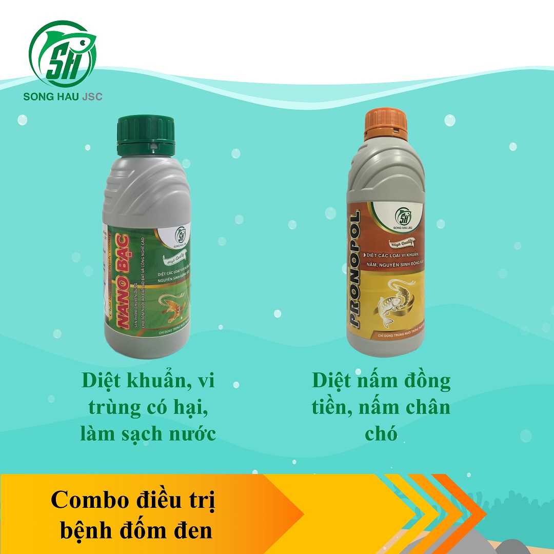 Combo 2 sản phẩm trị bệnh đốm đen ở TÔM: Nano Bạc + Pronopol