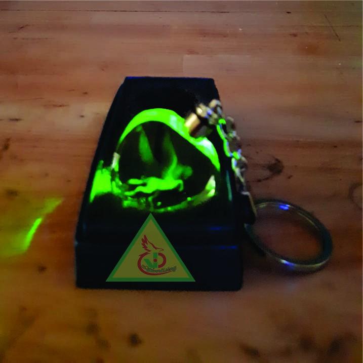 Móc khóa pha lê phát sáng khắc Hình Ngựa Bay 3D_Quà tặng