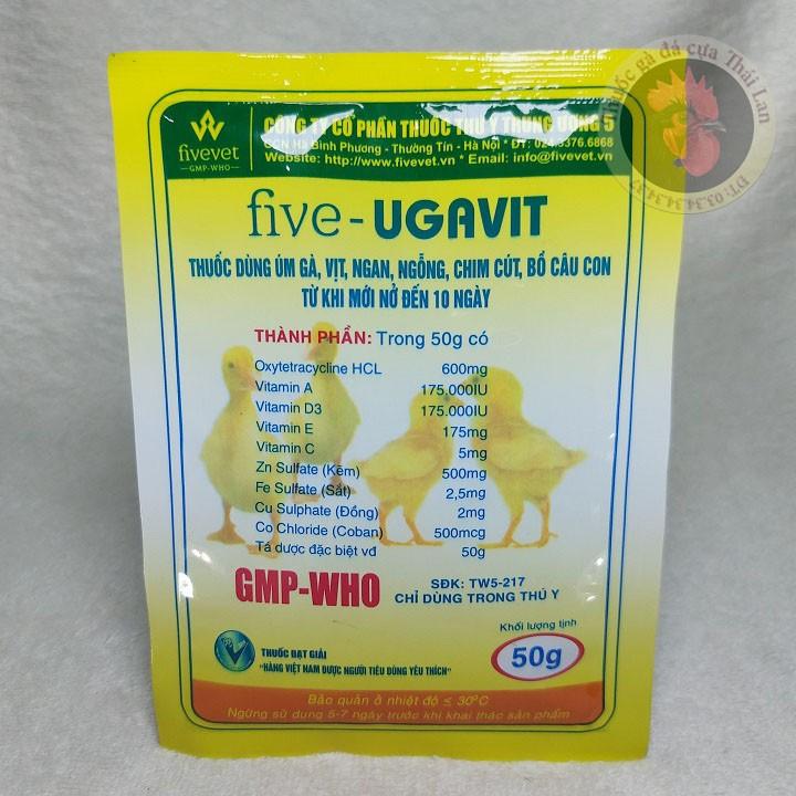 COMBO 1 GÓI - FIVE - UGAVIT - úm gà con phòng ngừa bệ.nh gà con - 1 gói / 50 gram