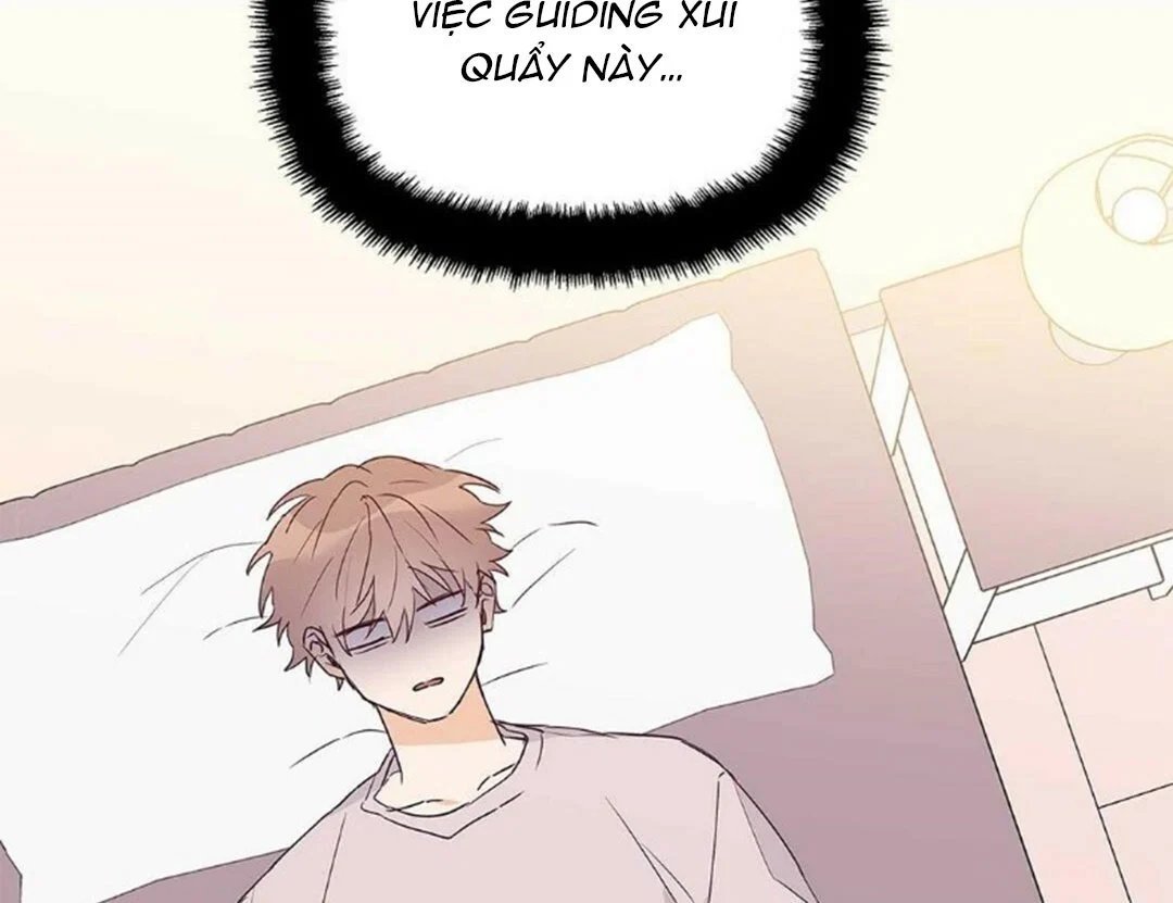 guide cấp b chapter 22 42