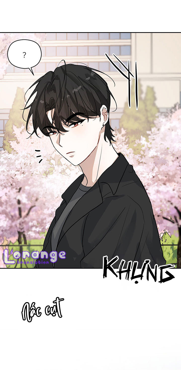 mùa xuân lại đến chapter 2 55