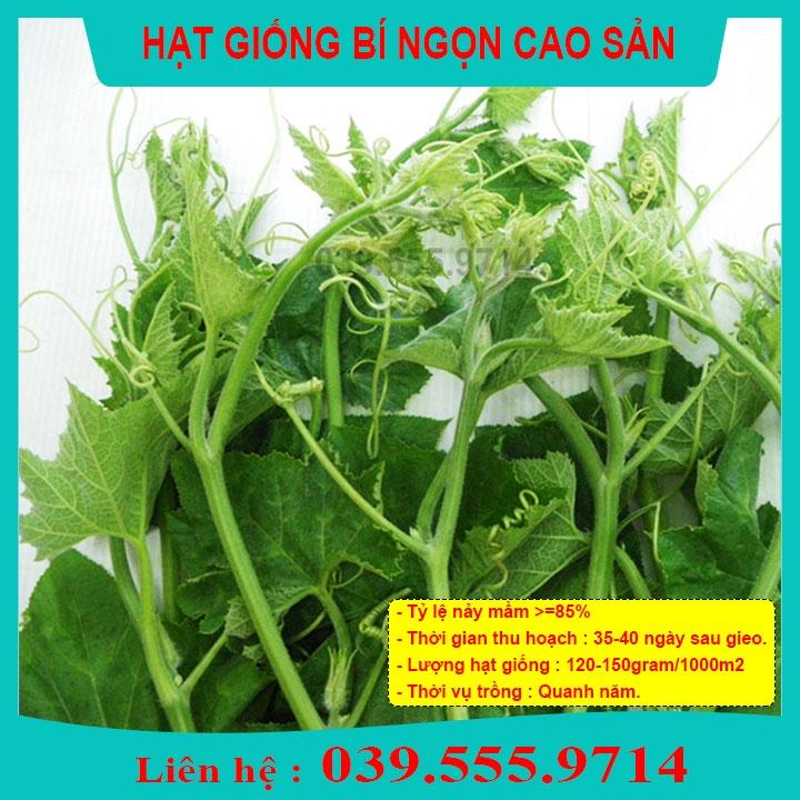 Hạt Giống Bí Siêu Ngọn 100gam ngọn to mập