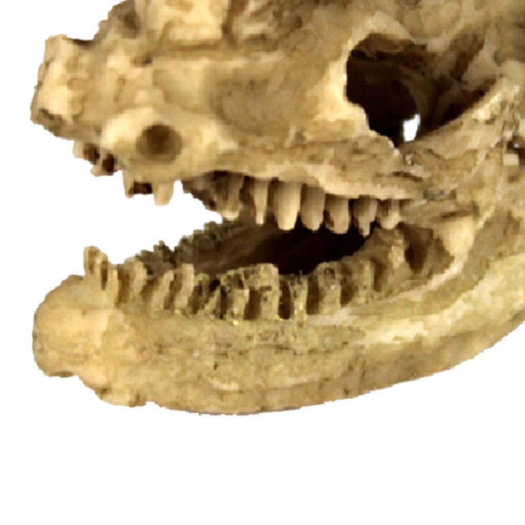 Pair Skull Design Terrarium Vivarium Decoration Landscape Decoration DIY