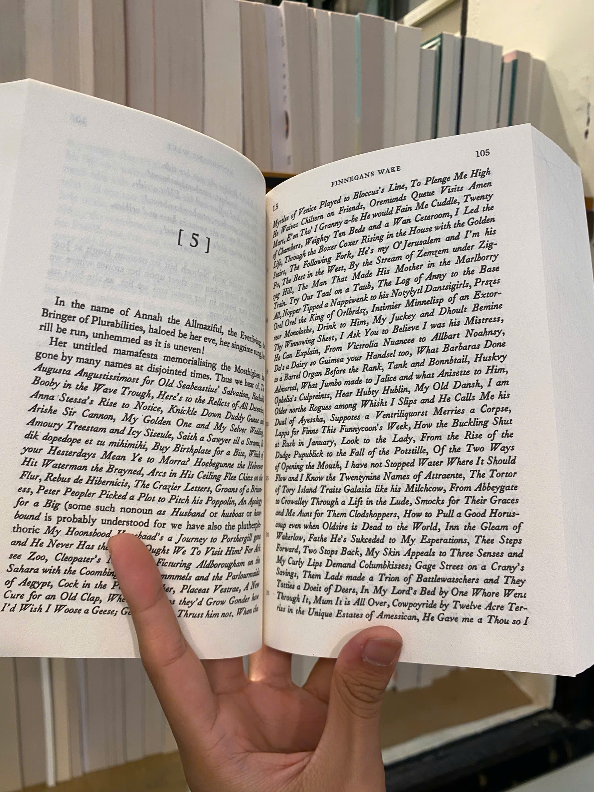 Sách - Finnegans Wake by James Joyce | Classic Literature / Ngoại văn Kinh điển Nhập khẩu