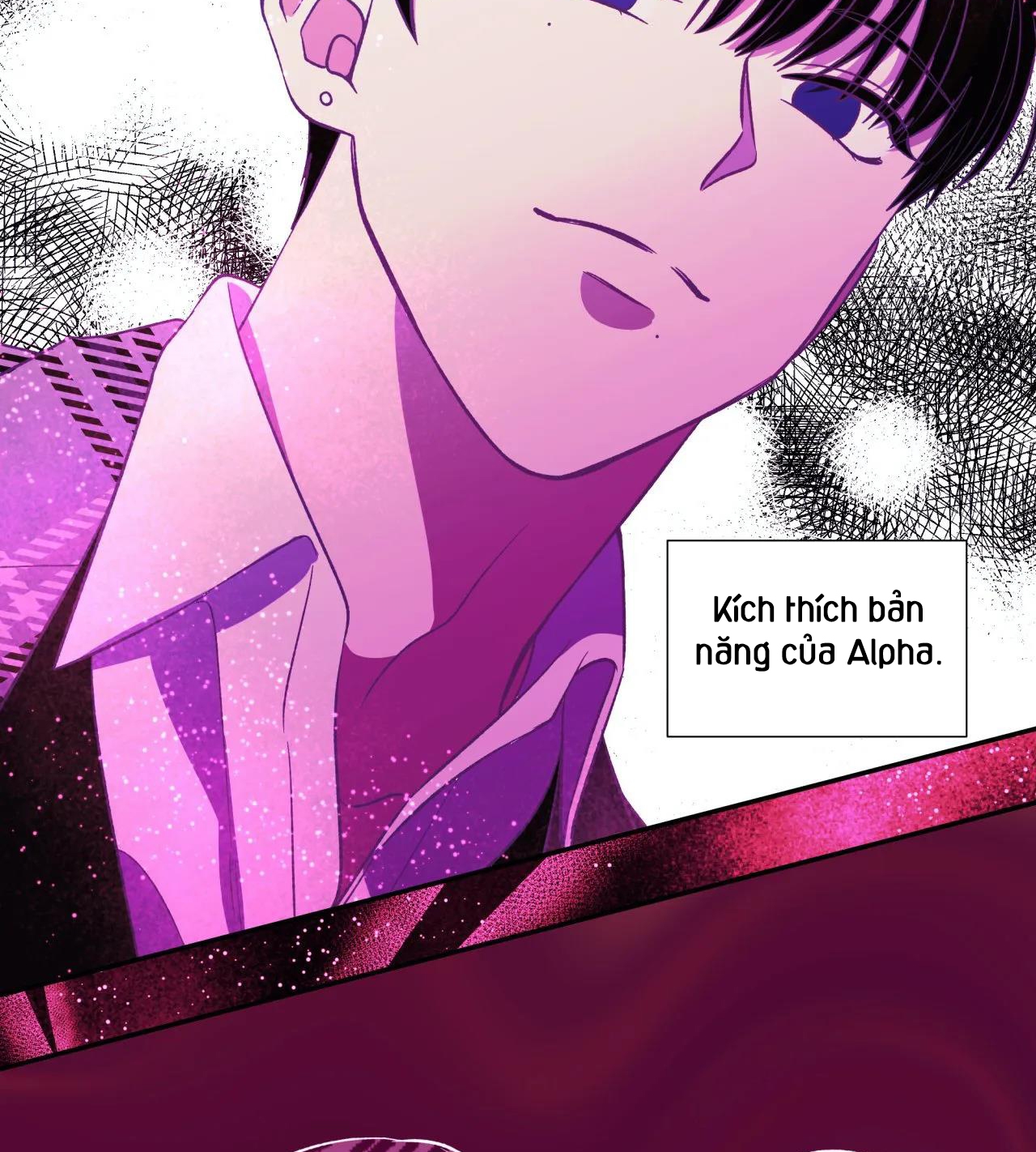 ám ảnh pheromone chapter 46 100