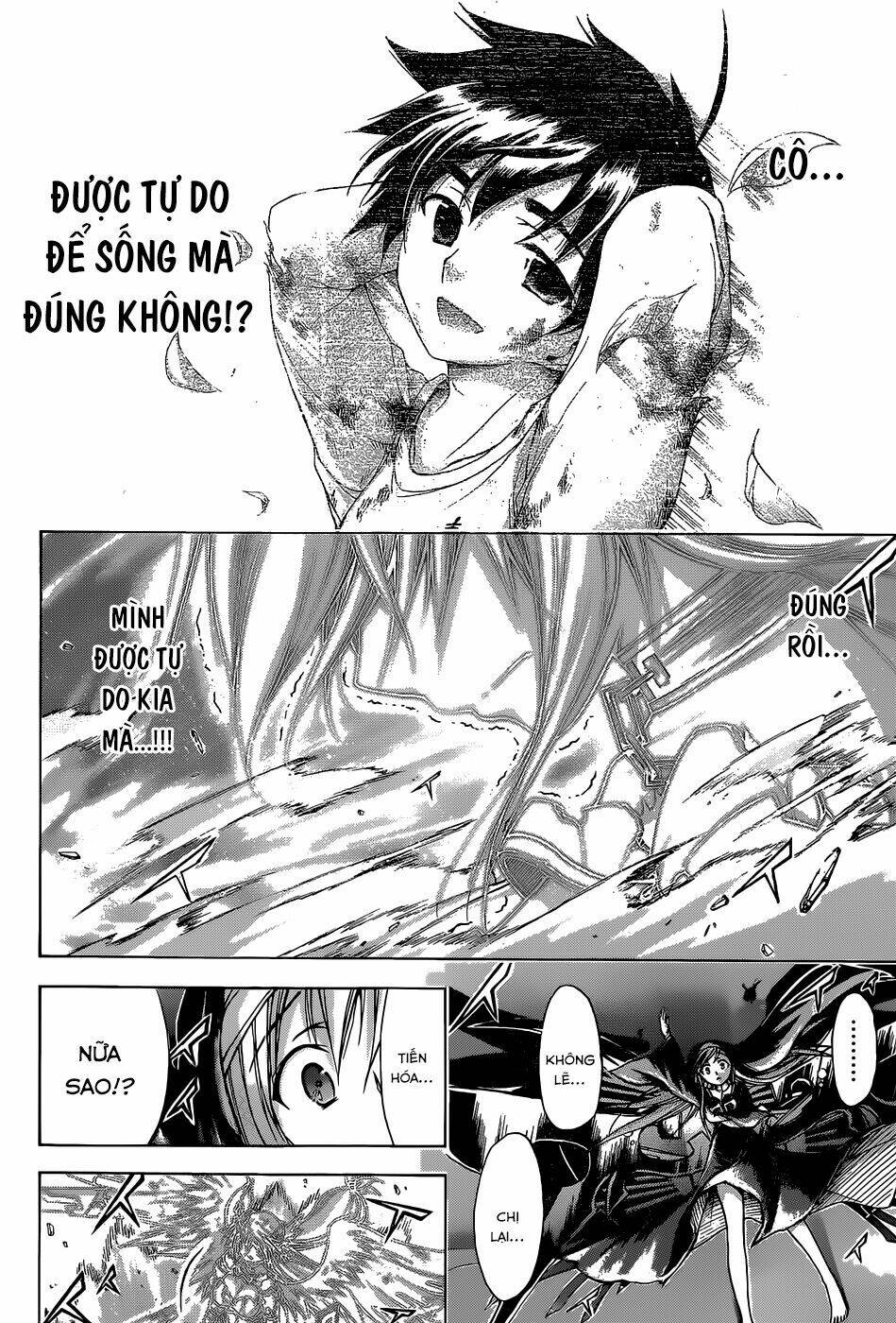 vật thất lạc của bầu trời chapter 75 30