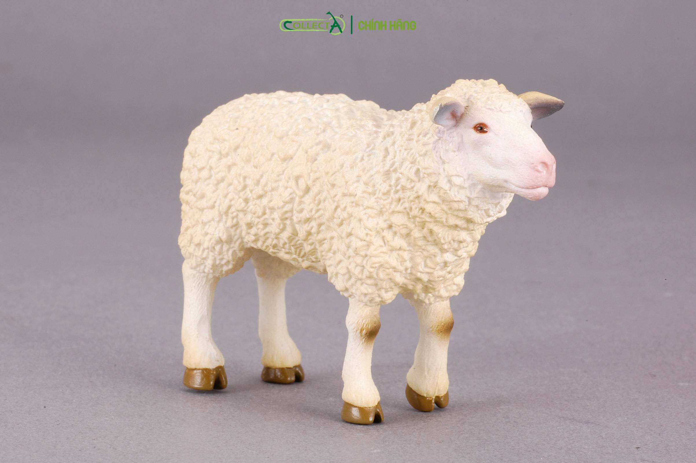 Mô hình thu nhỏ: Cừu mẹ - Sheep, hiệu: CollectA, mã HS 9650170[88008] -  Chất liệu an toàn cho trẻ - Hàng chính hãng