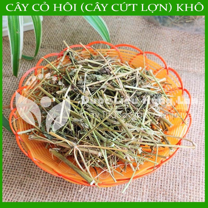 Cây Cỏ Hôi (Cây Cứt Lợn) khô 1kg