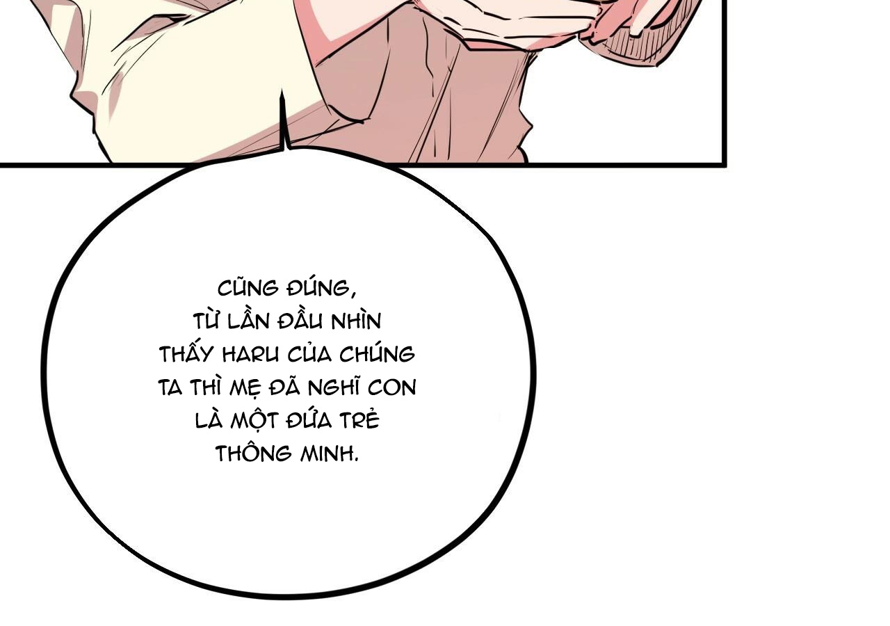 đàn thỏ của habibi chapter 20 221