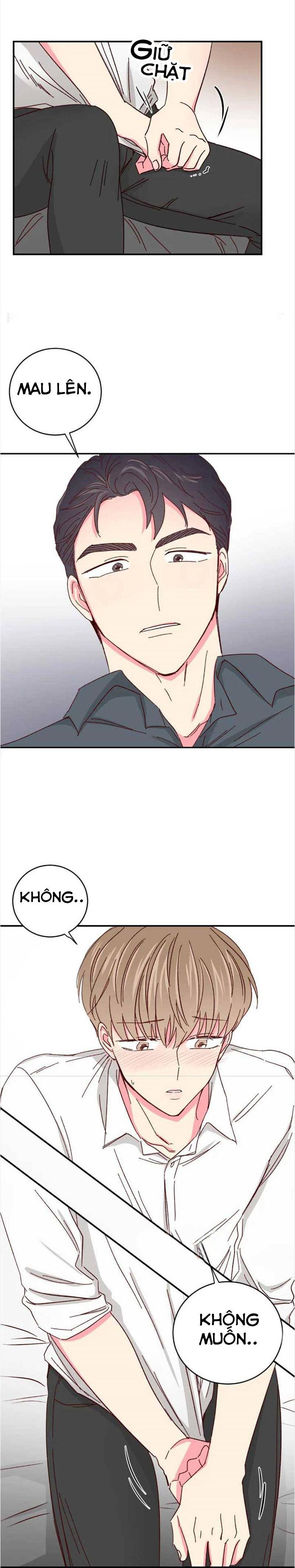 món tráng miệng của sếp tổng chapter 41 2