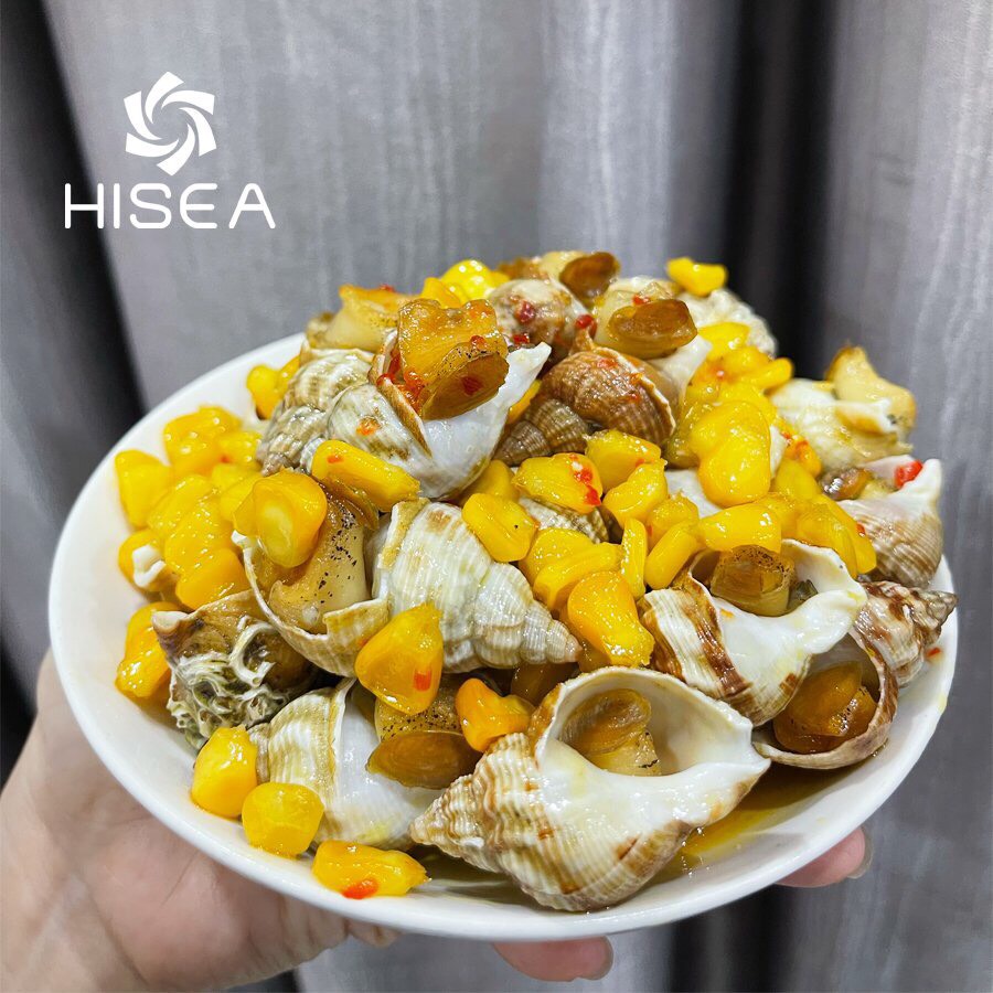 Ốc bulot Pháp - 1 kg