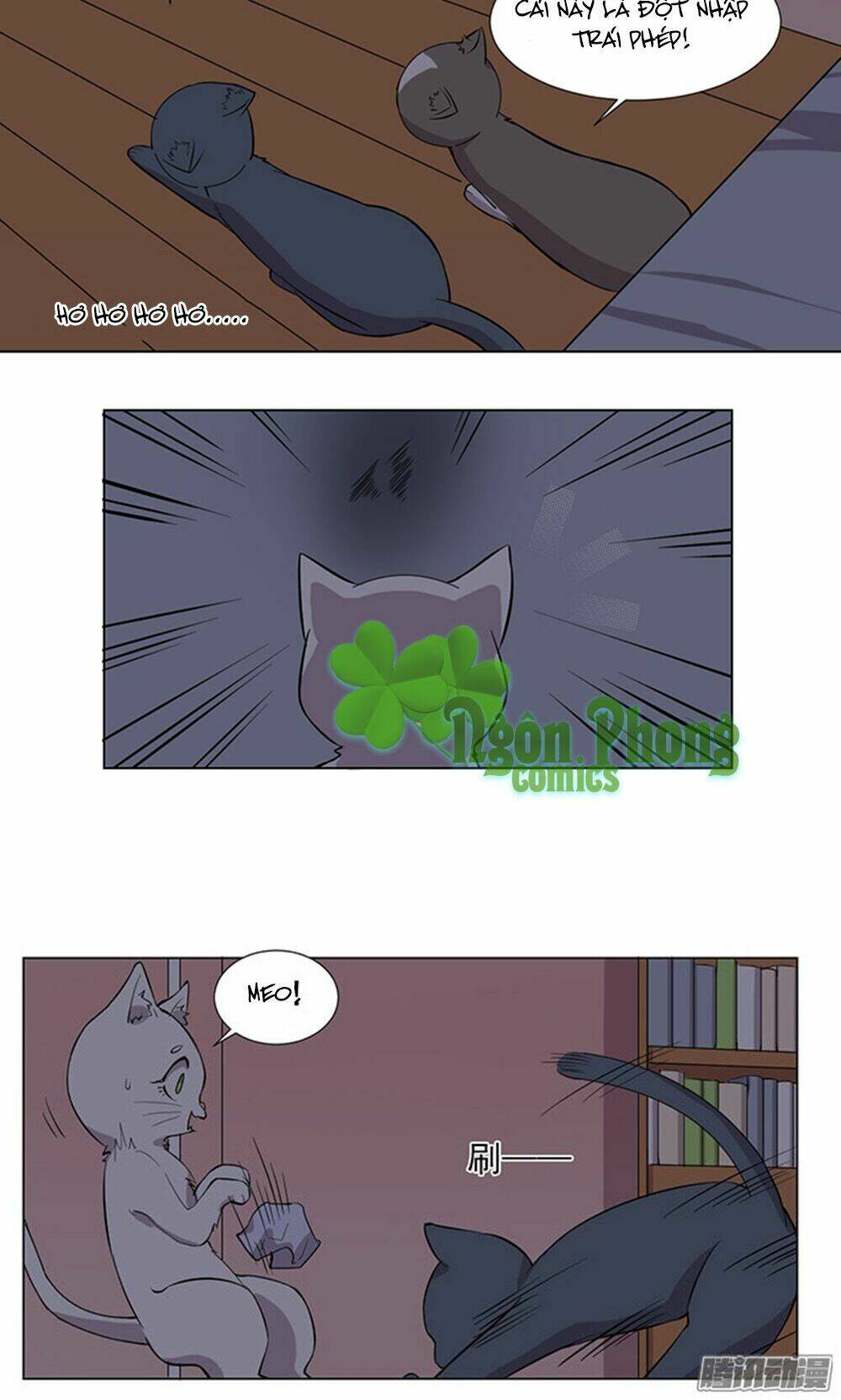 hai chú mèo totem chapter 33 5