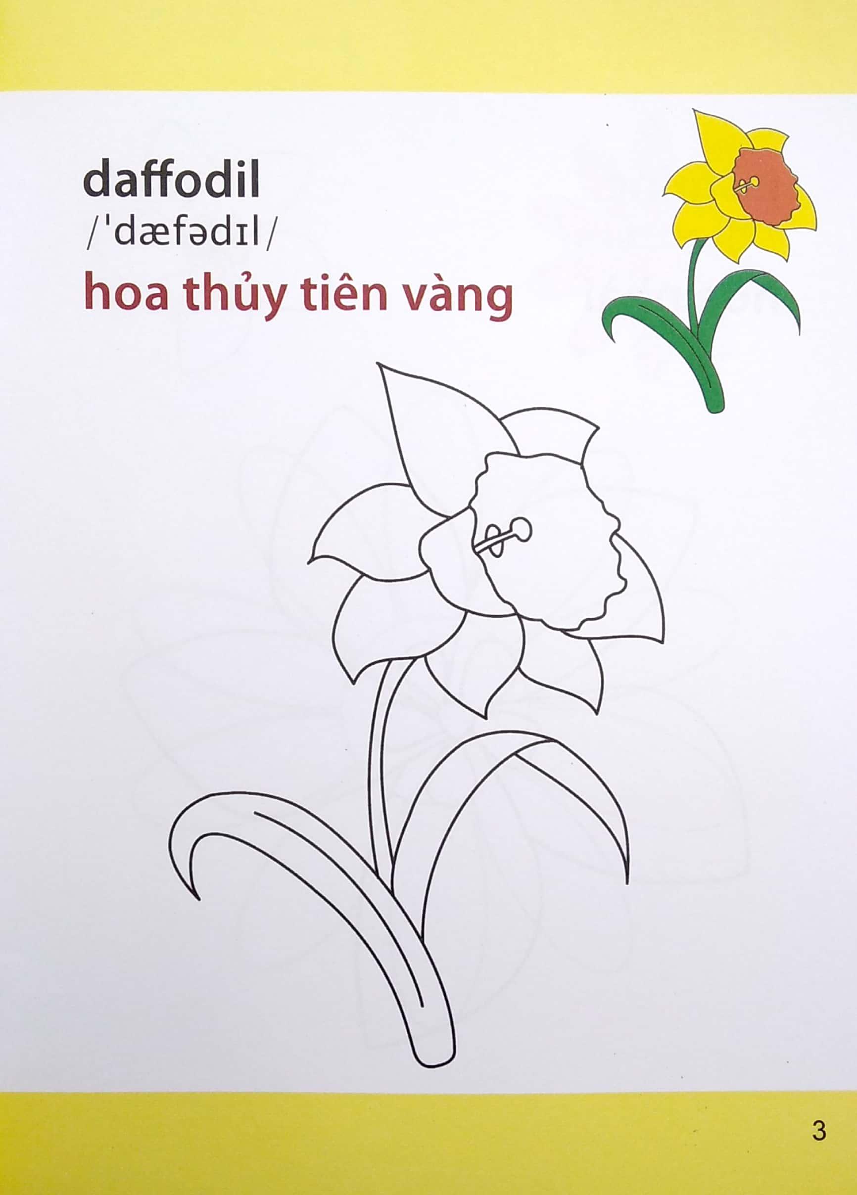 Giờ Học Tô Màu Của Bé - Các Loài Hoa (Siêu Vui Nhộn - Siêu Bổ Ích)