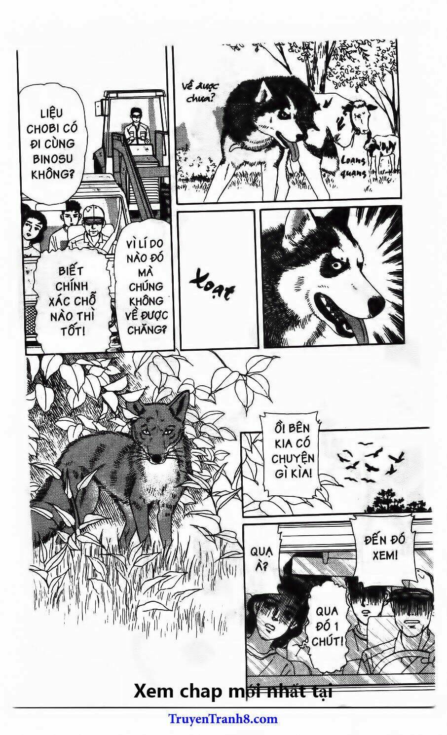 doubutsu no oishasan chapter 112 16