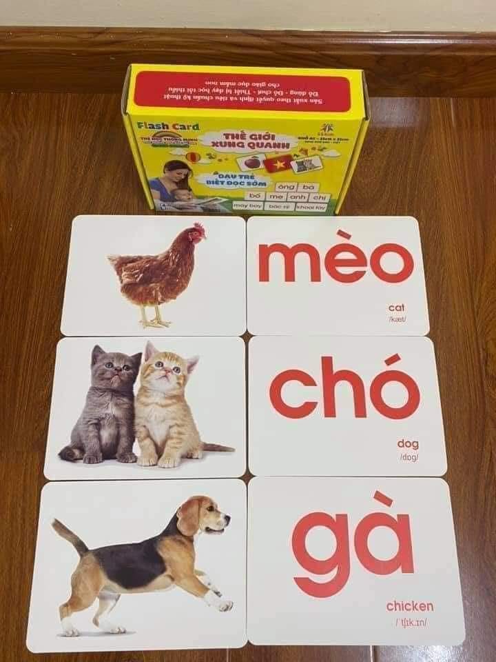 Thẻ Học Thông Minh Cho Bé, Bộ 100 Thẻ Flashcard Về Thế Giới Xung Quanh Với 14 Chủ Đề