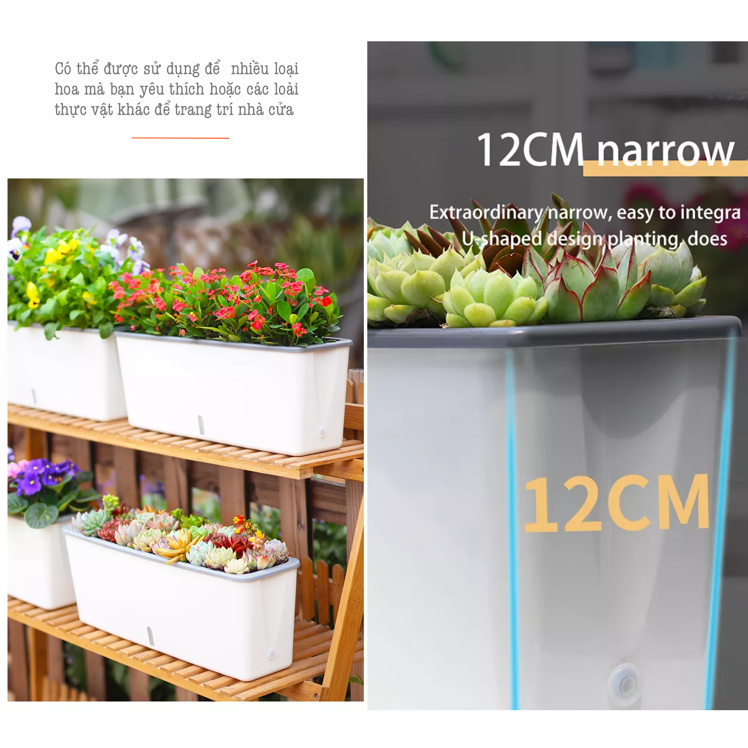 Chậu trồng cây thông minh SC06. Thiết kế 2 lớp, có chức năng cung cấp nước cho cây