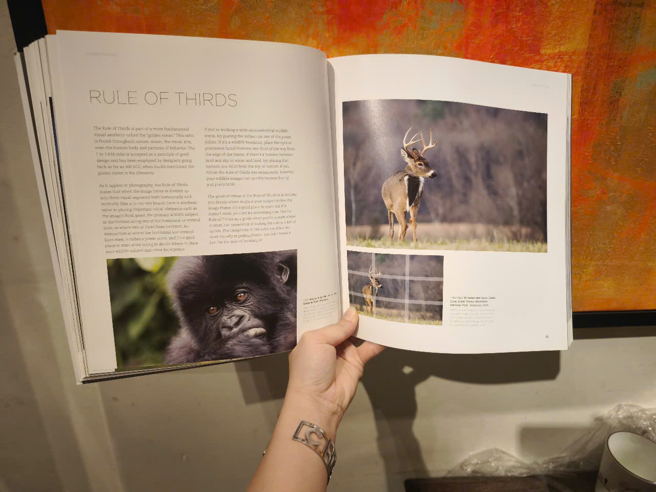Sách - Wildlife Photography by Richard Bernabe - From First Principles To Professional Results